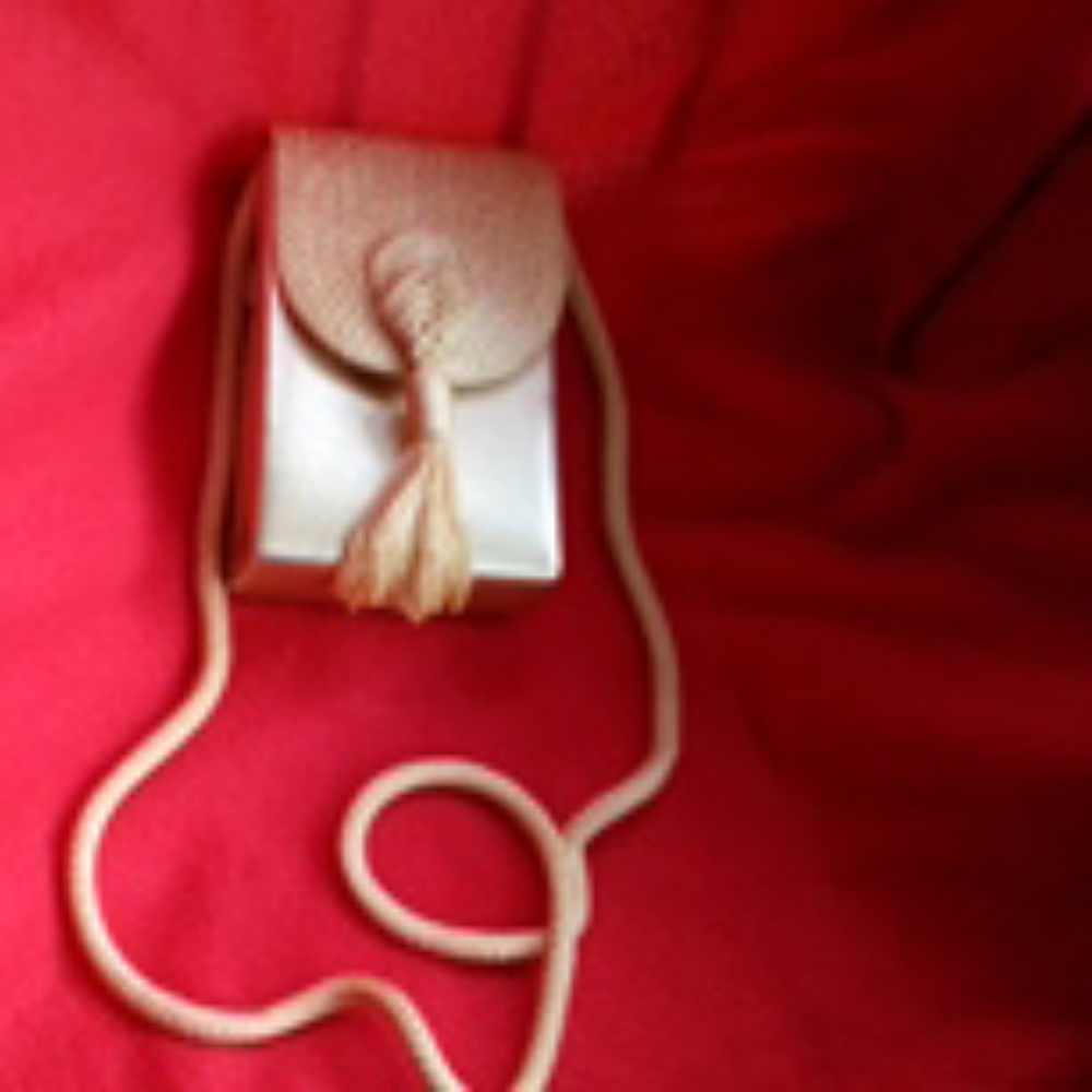 Evening Purse